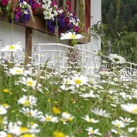 Albingers * Balderschwang