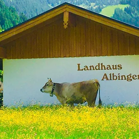 Apartament Albingers