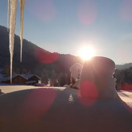 Apartament Albingers Balderschwang