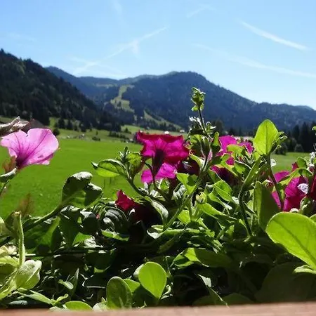 Albingers * Balderschwang